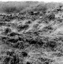 Distant view of a midden deposit at Site 651