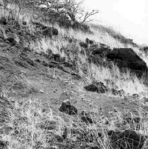 Midden scatter at Site 652