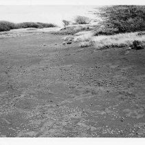 Site 104 Feature M facing west