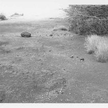 Site 104 Feature N facing west