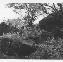 Enclosure (Feature A) at Site 106