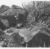 Enclosure at Site 106A facing northeast
