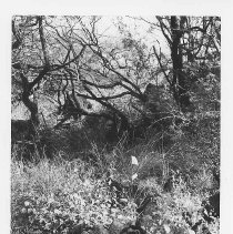 Terrace at Site 106B facing north