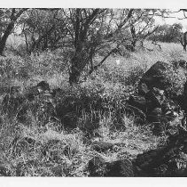 Terrace at Site 106B facing east