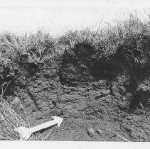 Site 104 with white arrow pointing to firepit