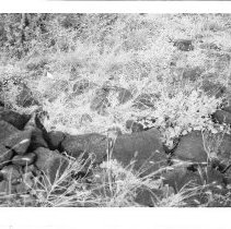 Enclosure at Site 106 facing west