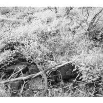 Enclosure (Feature F) at Site 106 facing southwest