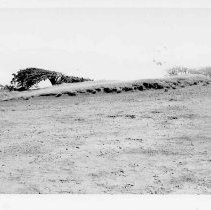 Site 103 Feature A facing north