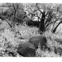 Terrace facing southwest at Site 106 (Q)