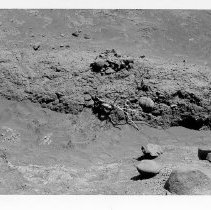 Firepit at Site 110 Feature AN facing east