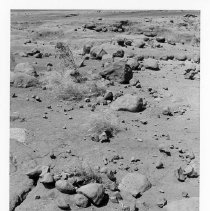 Site 110AO facing north