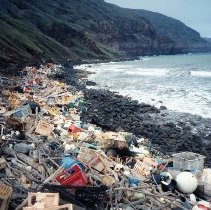 Marine debris along Kanapou Bay