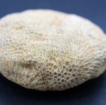 Object, Unidentified