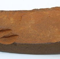 Profile of unpolished side of basalt adze fragment