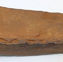 Unpolished side of basalt adze fragment