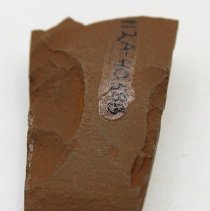 Lengthwise view of adze fragment with alternate id number visible
