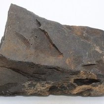 Basalt adze fragment