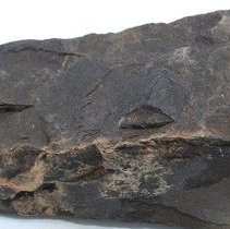 Profile of basalt adze fragment