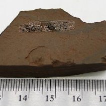 Basalt adze fragment with ruler