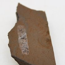 Adze fragment with alternate id number visible