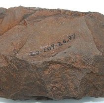 Basalt adze blank with alternate id number visible