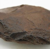 Closeup profile of a basalt adze blank