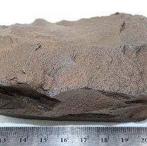 Basalt adze blank against a ruler