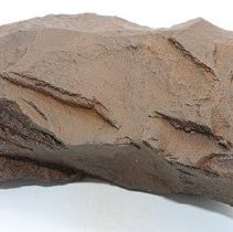 Closeup of basalt adze blank