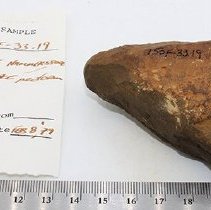 Basalt hammerstone with artifact slip and ruler