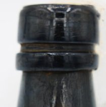 Glass bottle fragment (mouth and neck))