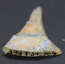 Triangular fragment of glass bottle with alternate id  number visible