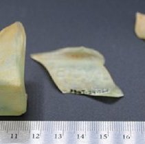 Glass bottle fragments with ruler