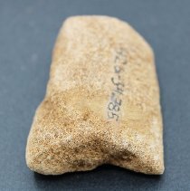 Lengthwise closeup view of coral abrader with alternate id number visible