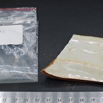 Piece of crockery plate with artifact bag and ruler