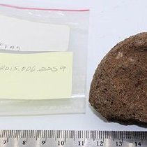 An ulumaika fragment with artifact bag and ruler