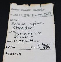 Artifact slip for echino-spine abrader