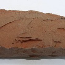 Adze blank with visible alternate id number