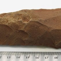 Closeup profile view of adze blank with ruler