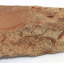 Profile of adze blank