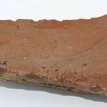 Adze blank with visible alternate id number