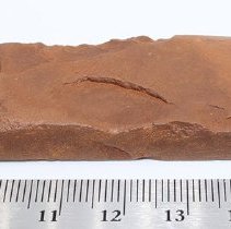 Profie of basalt adze and ruler