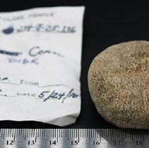 Coral disk with artifact slip and ruler