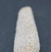 Closeup lengthwise view of  a coral abrader