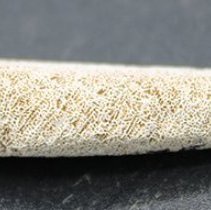 Closeup of profile of a coral abrader