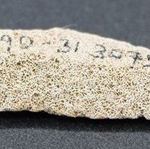 Closeup profile of coral abrader with visible alternate id number