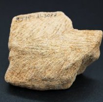 Closeup of coral abrader with visible alternate id number