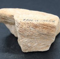 Closeup side view of coral abrader with visible alternate id number