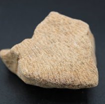 Closeup of coral abrader