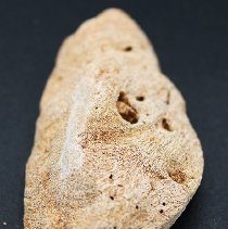 Closeup lengthwise view of coral abrader