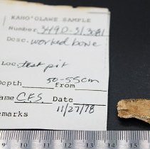 Small piece of worked bone with artifact slip and ruler